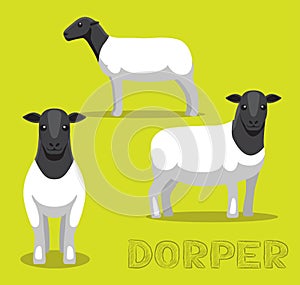 Sheep Dorper Cartoon Vector Illustration