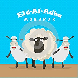 Sheep for Eid-Al-Adha Mubarak.