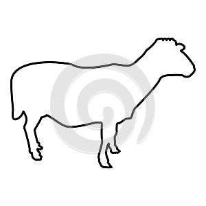 Sheep Ewe Domestic livestock Farm animal cloven hoofed Lamb cattle contour outline black color vector illustration flat style