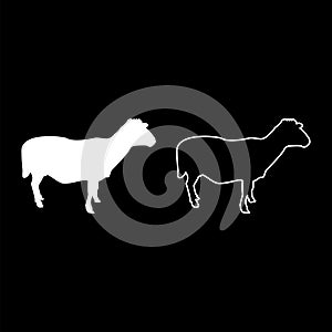 Sheep Ewe Domestic livestock Farm animal cloven hoofed Lamb cattle silhouette white color vector illustration solid outline style