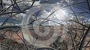 Sheep farm in the desert outside the city with trees dead at day