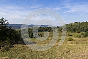 Sheep farm and hill landscape with forest photo