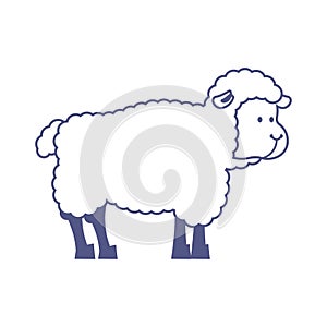 Sheep farm isolated animal. ewe on white background