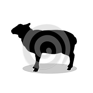 Sheep farm mammal black silhouette animal