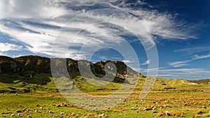 Sheep farm on New Zealand`s west coast