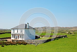 Sheep Farm in Scotland, United Kingdom