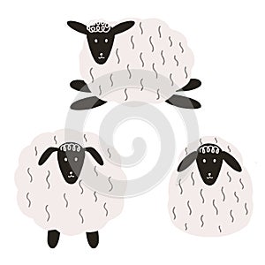 Sheep farming. Cute livestock, farm animal drawing element isolated on white. Watercolor funny set of sheeps