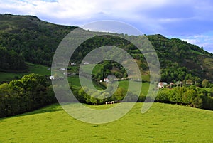 Sheep farming in the Pyrenees