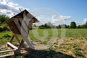 Sheep feeder against background of green field