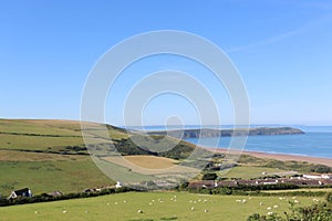 SHEEP FIELDS ABOVE WOOLACOMBE BEACH IN DEVON