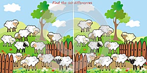 Sheep-find 10 differences