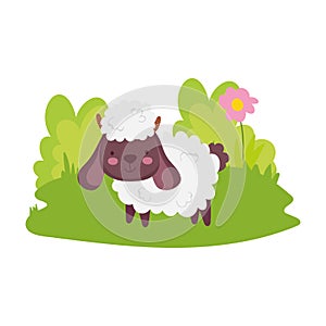 Sheep flower grass farm animal cartoon isolated icon on white background