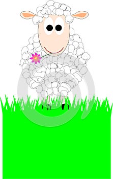 Sheep with a flower on a meadow