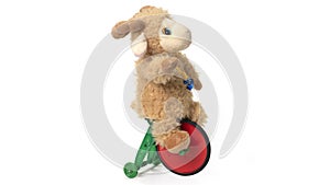 Sheep fluffy toy on bicycle isolated on white background