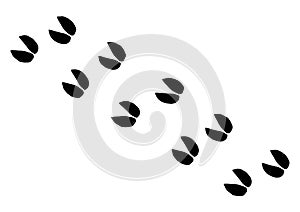 Sheep foot print. Vector drawing