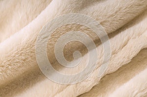 Sheep fur texture