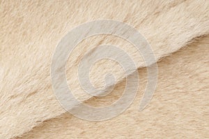 Sheep fur texture