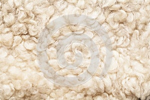 Sheep fur. Wool texture.