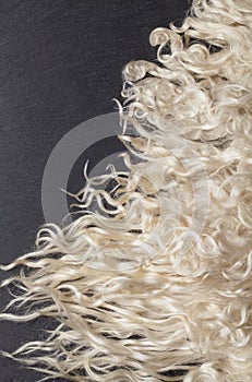 Sheep fur. Wool texture.