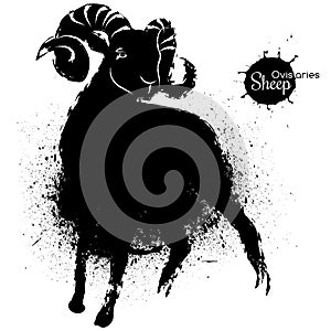 The Sheep graphic black and white drawing