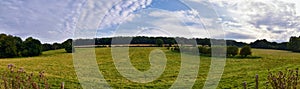 Sheep Grazing in England lush pastures and farmlands in the United Kingdom. Beautiful English countryside with emerald green field