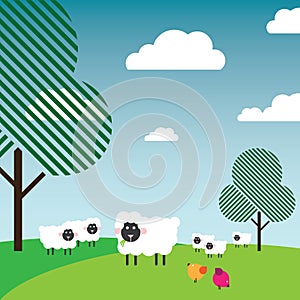 Sheep grazing in a pasture with trees and birds