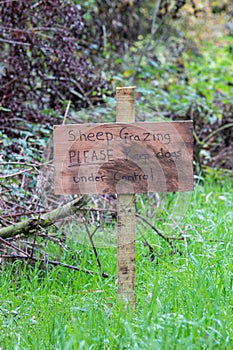 Sheep grazing please keep dogs under control sign