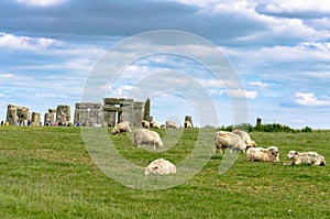 Sheep grazing at Stonehenge