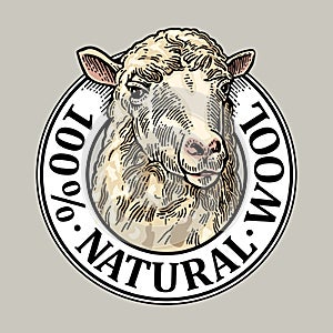 Sheep head. 100 Natural wooll lettering. Vintage vector engraving illustration