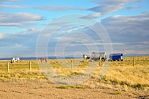 Sheep Hearder Wagon and Horses