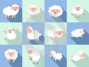 Sheep icon set, flat style