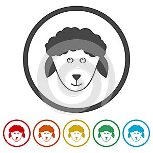 Sheep icons set. Farm animal vector illustration