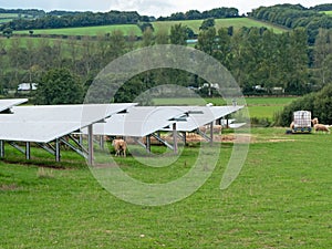 Sheep kept to graze farmland supporting arrays of solar panels