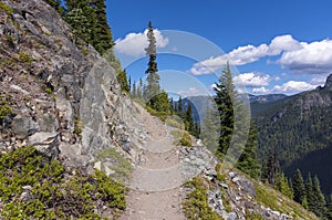 Sheep Lake Trail in Mt Rainier NP