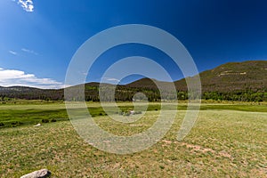 Sheep Lakes at West Horseshoe Park on Trail Ridge Road