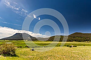 Sheep Lakes at West Horseshoe Park on Trail Ridge Road