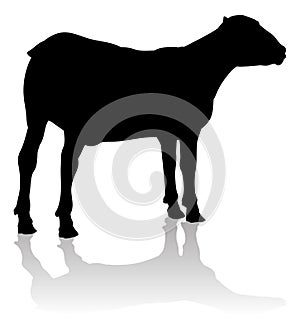 Sheep or Lamb Farm Animal in Silhouette