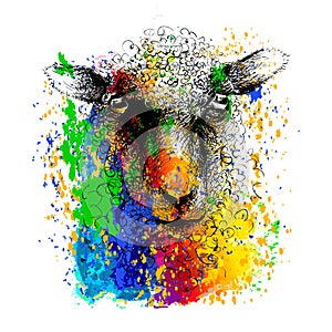 Sheep lamb head. Colourful animal mammal portrait. Ink drawing