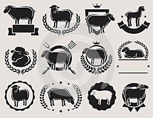 Sheep and lamb labels set. Vector photo