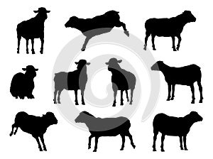 Sheep or Lambs Farm Animals in Silhouette