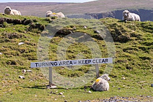 Sheep lie next to the sign indicating the turning area at the en