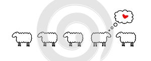 Sheep in love