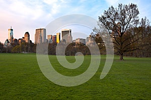 Sheep Meadow at Central Park and Midtown skyline