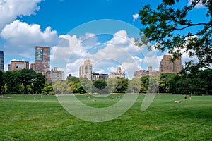 The Sheep Meadow at Central Park in New York City