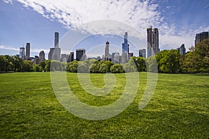 Sheep Meadow, Central Park in New York City
