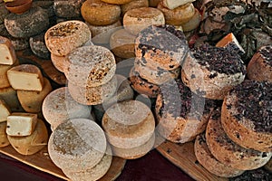 Sheep milk cheese from Piedmont, Italy