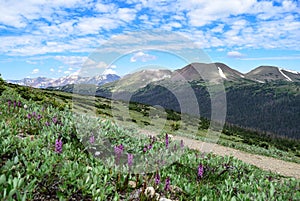 Sheep Mountain as Seen from the Ute Trail in Rocky Mountain National Park.