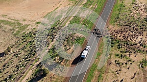 sheep muster in outback Queensland