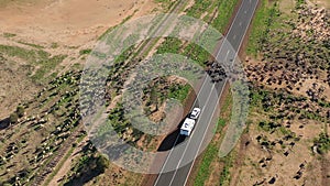 sheep muster in outback Queensland photo