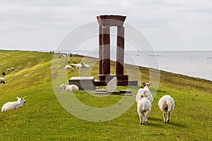 Sheep near Dutch monument near Noordkaap, Netherlands